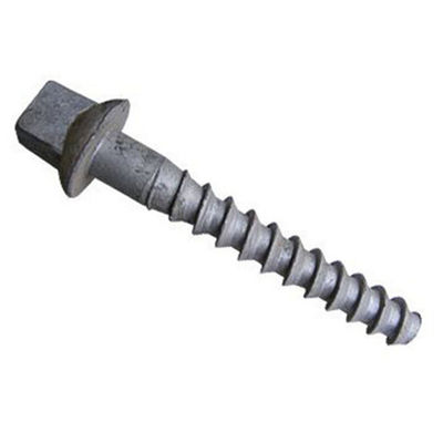 Hex and Square Screw Spike / Railway Chair Screw with Big Disk for Africa