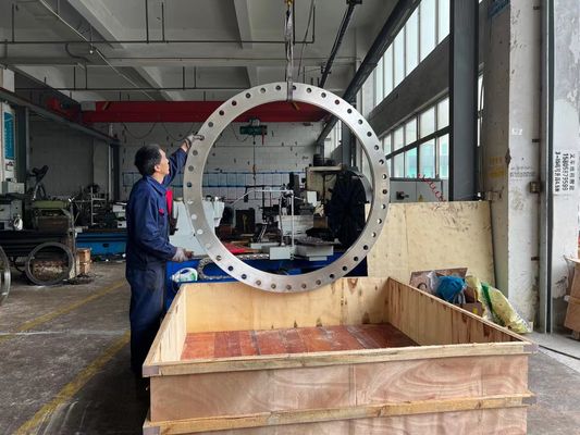 Big Forged Flanges Stainless Steel Carbon Steel Brass Forged Flange