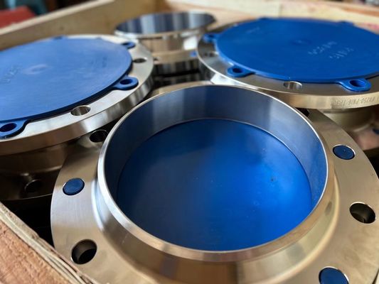 Big Forged Flanges Stainless Steel Carbon Steel Brass Forged Flange