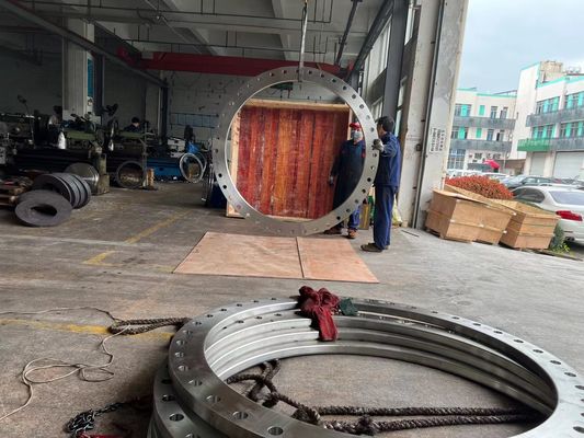 Big Forged Flanges Stainless Steel Carbon Steel Brass Forged Flange